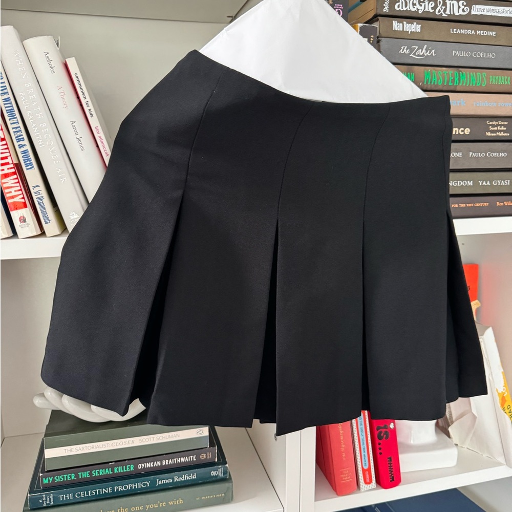 Aritzia Skirt